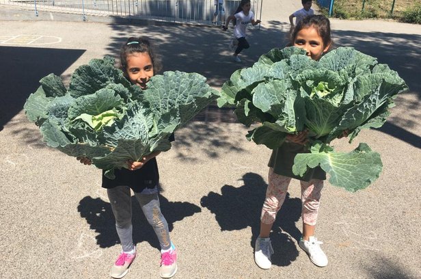 Trousse à projets - Un jardin à l'école Ariane Cassin