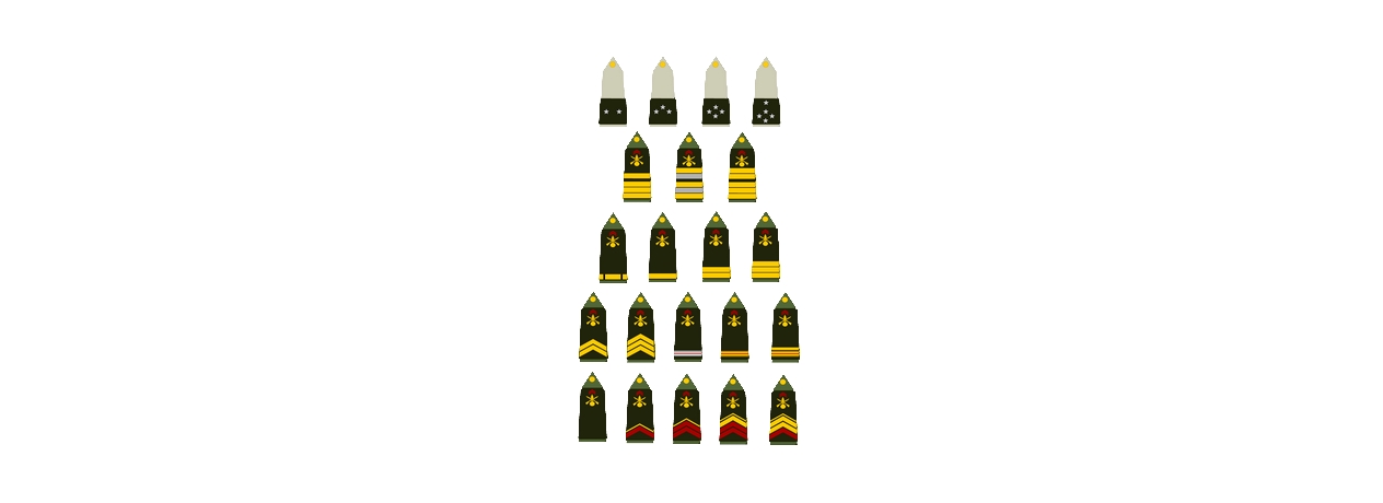 Devenir officier de l'armée de terre