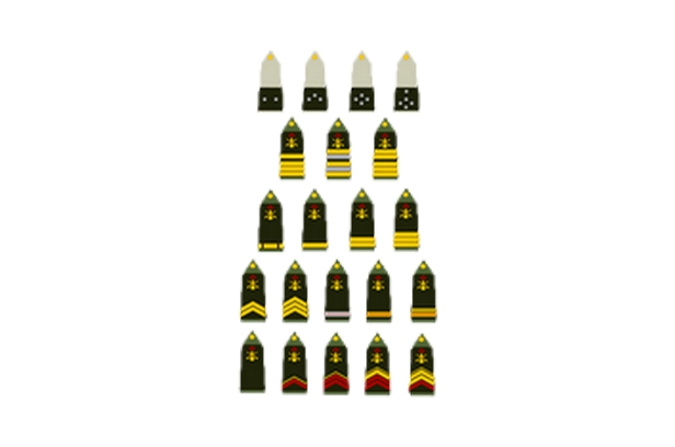Devenir officier de l'armée de terre