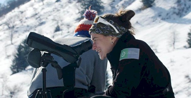 Translocation bouquetins de la Vanoise au Mercantour © Olivier Gouix - Goprod