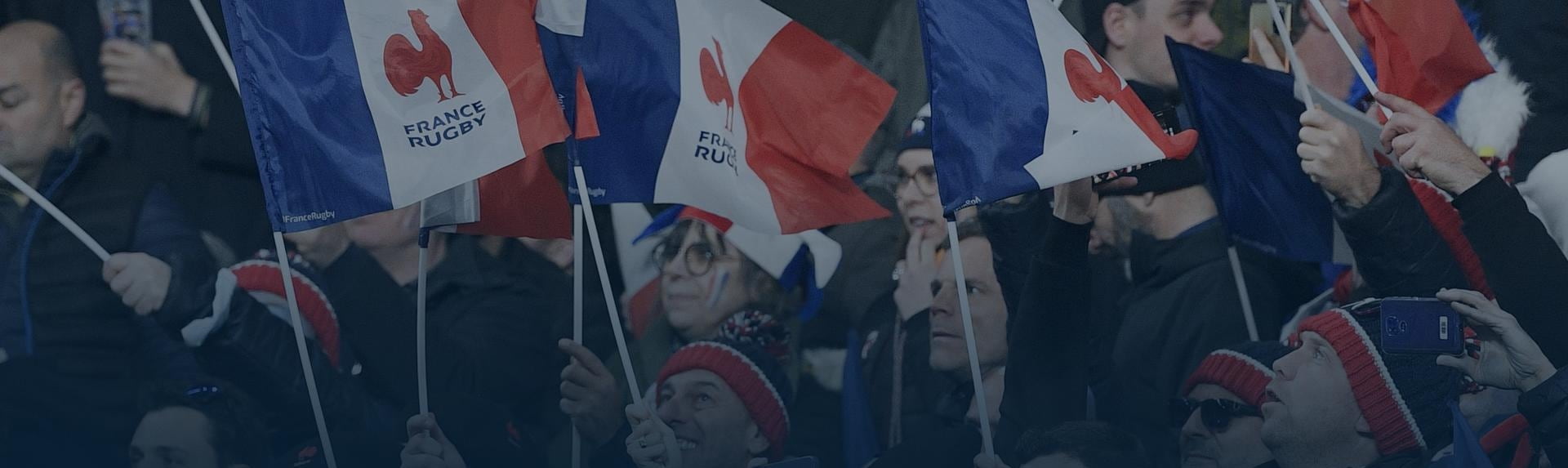 Supporters de l'équipe de France en train d'agiter leurs drapeaux dans les tribunes