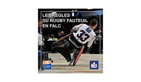 Broche Fédération Française Des Enseignants De Ski..La Souris